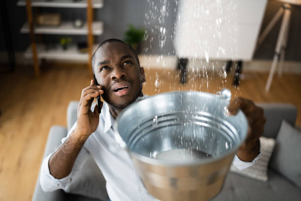 Best Water damage contractors near me  in Pleasant Hill, MO