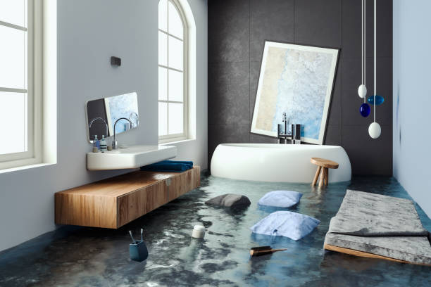 Best Flooded house restoration  in Pleasant Hill, MO