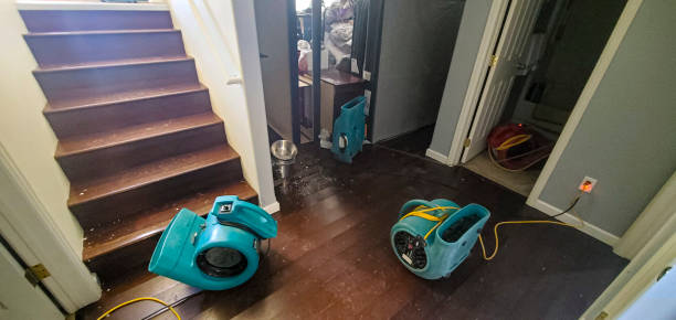 Best 24/7 water damage repair  in Pleasant Hill, MO