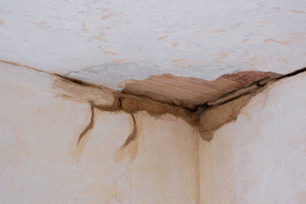 Best Sewage cleanup and water damage restoration  in Pleasant Hill, MO
