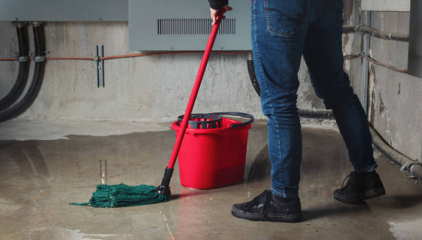 Best Emergency water damage restoration  in Pleasant Hill, MO