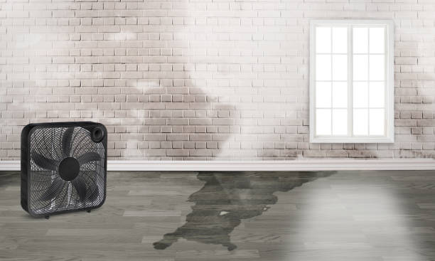 Best Flood restoration services  in Pleasant Hill, MO
