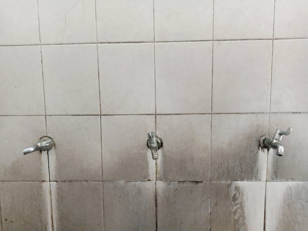 Reliable Pleasant Hill, MO Water damage restoration Solutions