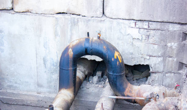 Best Flood damage cleanup  in Pleasant Hill, MO