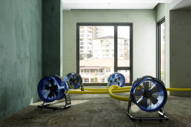 Best 24-hour water damage restoration  in Pleasant Hill, MO