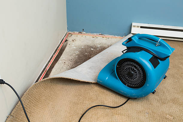 Best Carpet water damage restoration  in Pleasant Hill, MO